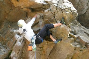 job22491 profile photo