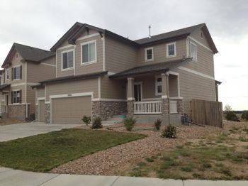 goose77 profile photo