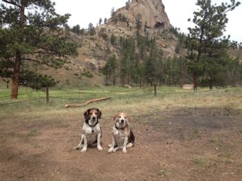 goose77 profile photo