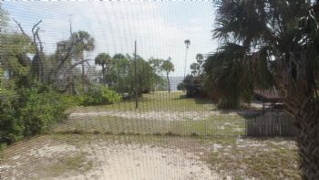 eric.mannes profile photo