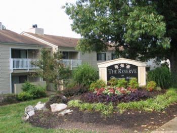 deniece156 profile photo