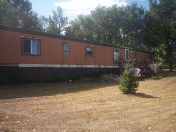 sheilamichau profile photo