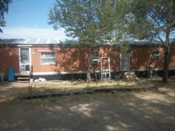 sheilamichau profile photo