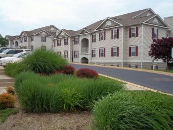 ncpence profile photo