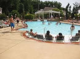 ncpence profile photo