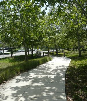 shell9291 profile photo