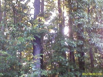 JM27603 profile photo