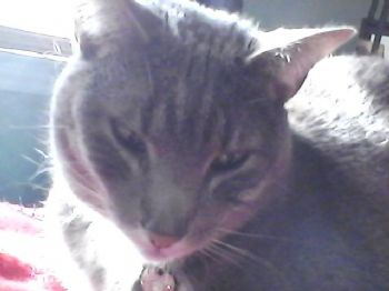 JM27603 profile photo