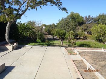 jleete13 profile photo