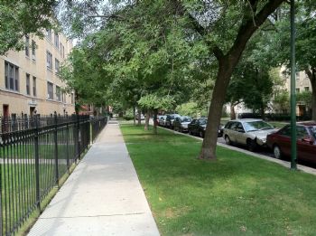 nwwells profile photo