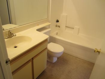 amie2554 profile photo