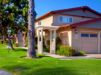 jcosunshine profile photo