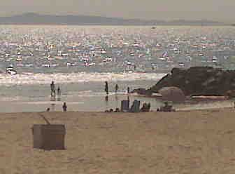 5009guy profile photo