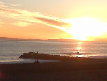 5009guy profile photo