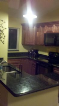 shogan profile photo