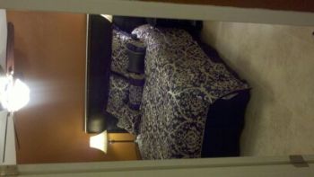 shogan profile photo