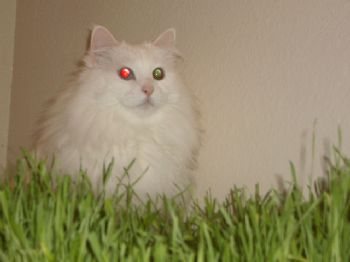 catherine77 profile photo