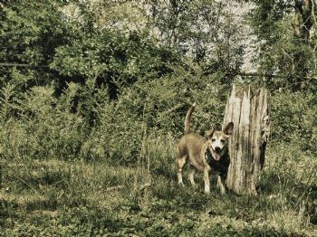 ajmc419 profile photo