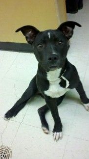 allansa1 profile photo