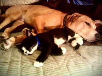 TiaRogers profile photo