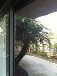 sro1989 profile photo