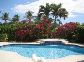 Erika83 profile photo