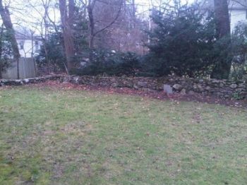 mpmoneyp profile photo