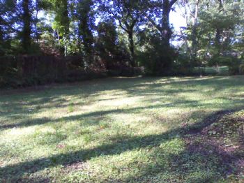 eliza_1280 profile photo