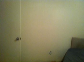 callisto profile photo