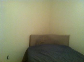 callisto profile photo