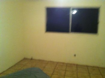 callisto profile photo