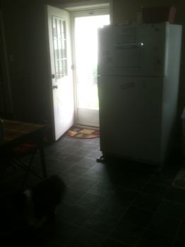 mikkeyc profile photo