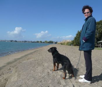 sherylgriff profile photo