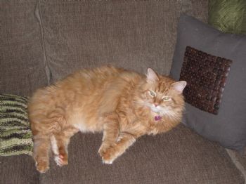 kimberlyvale profile photo