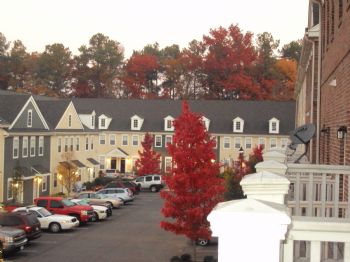 supercharged profile photo