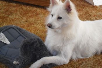 KathleenCrow profile photo