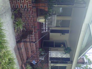 amydenice profile photo