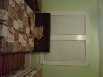 amydenice profile photo