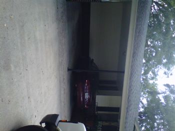 amydenice profile photo