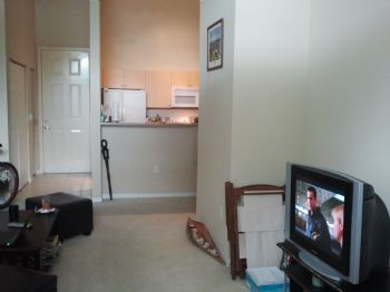 vins755 profile photo