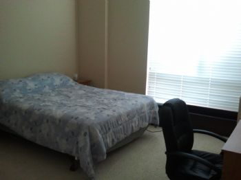 vins755 profile photo