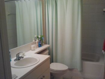 vins755 profile photo