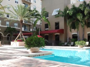 vins755 profile photo