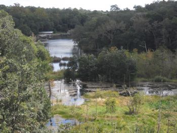 SafireHD profile photo