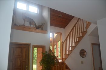 jkdrph2003 profile photo