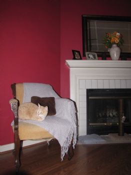 lkdudg01 profile photo