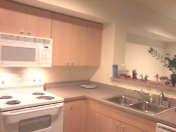 pejdskj profile photo