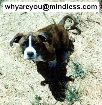 go2college profile photo