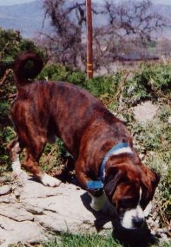 go2college profile photo