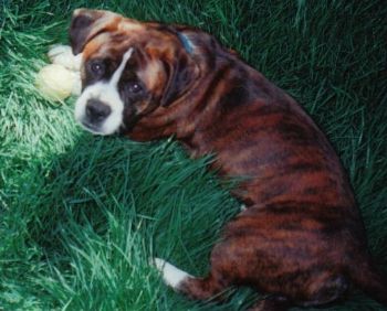 go2college profile photo